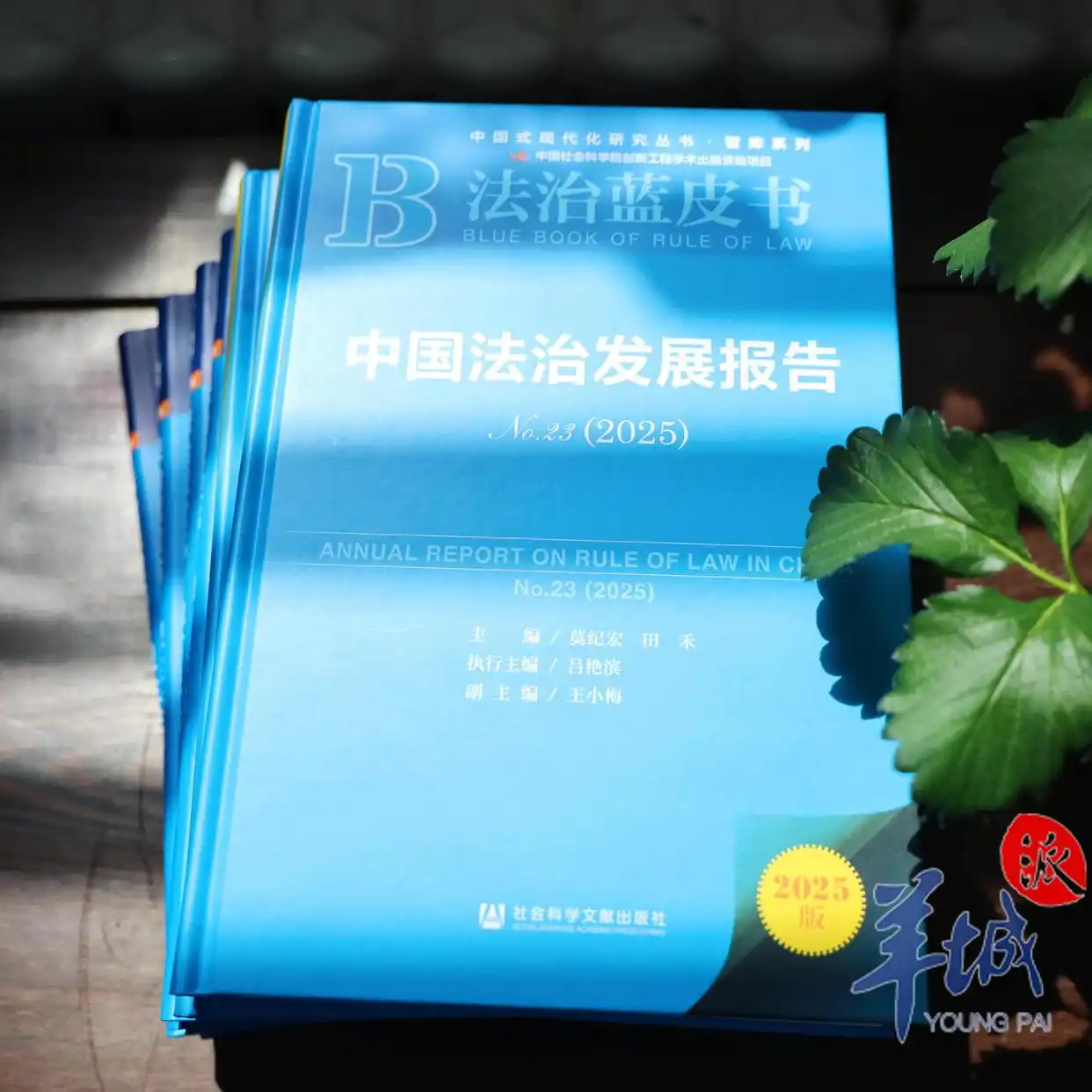 2025年法治蓝皮书.jpg